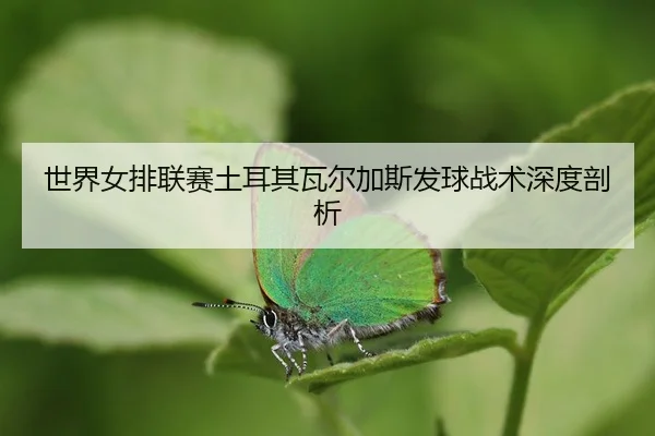 shi-jie-nv-pai-lian-sai-tu-er-qi-wa-er-jia-si-fa-qiu-zhan-shu-shen-du-pou-xi-3-420.jpg