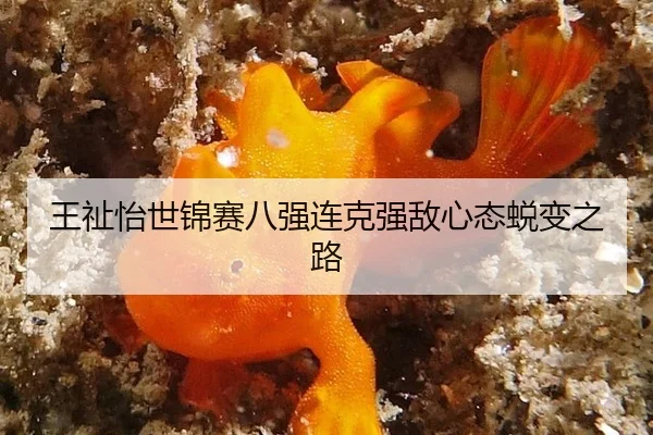 王祉怡世锦赛八强连克强敌心态蜕变之路