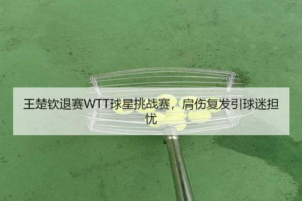 wang-chu-qin-tui-sai-qiu-xing-tiao-zhan-sai-jian-shang-fu-fa-yin-qiu-mi-dan-you-3-526.jpg