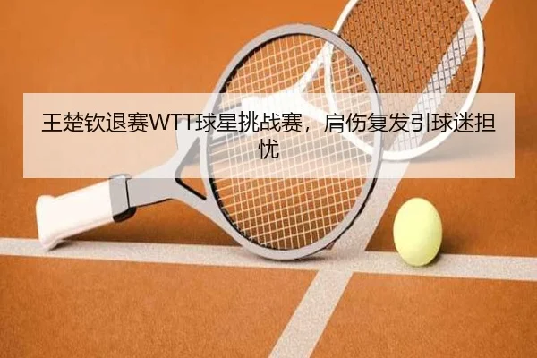 王楚钦退赛WTT球星挑战赛，肩伤复发引球迷担忧